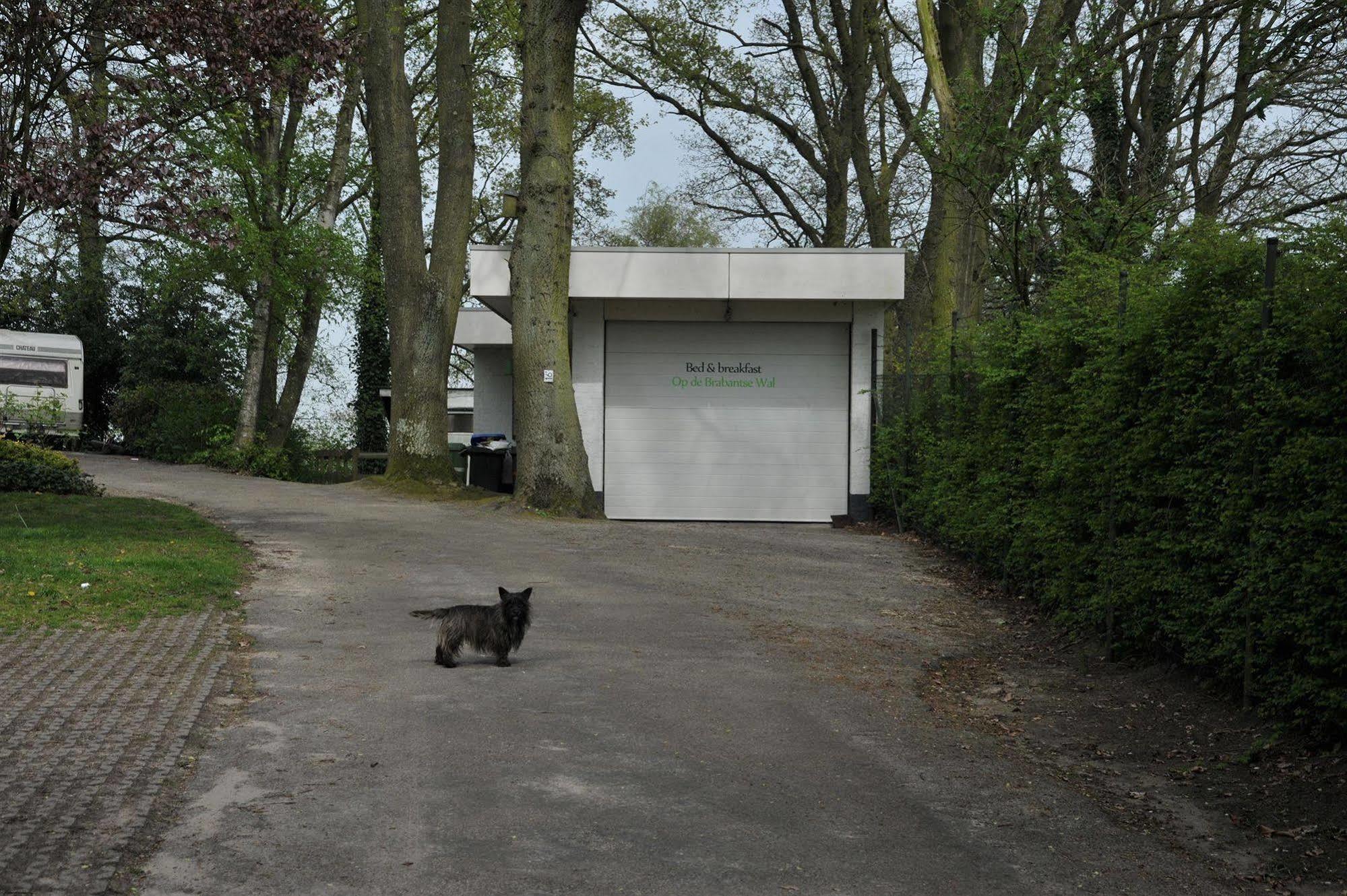 B&B Op De Brabantse Wal Halsteren ภายนอก รูปภาพ